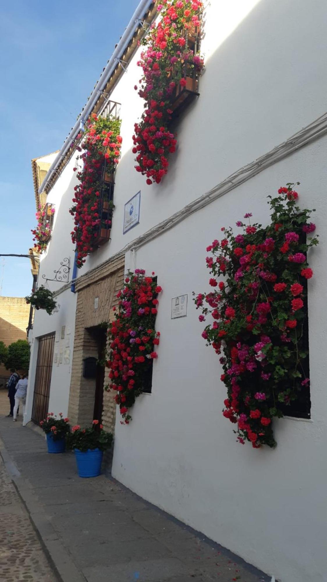 El Rincon De Jesus Y Loli Lägenhet Córdoba Exteriör bild